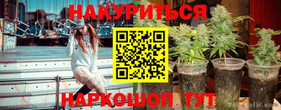 каннабис Новозыбков