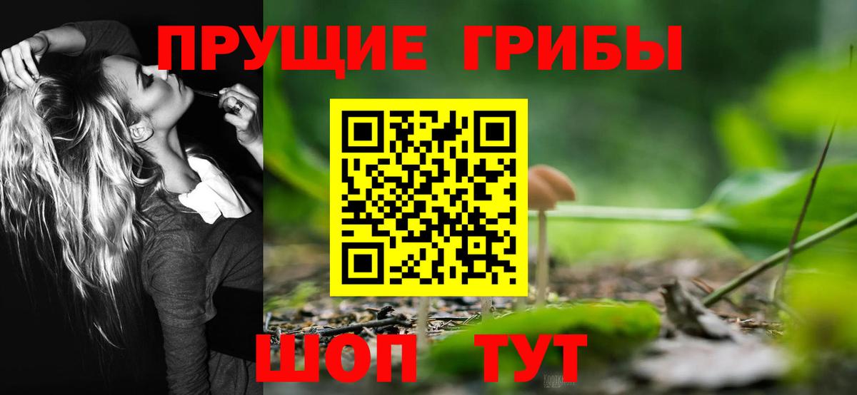 Галлюциногенные грибы Psilocybine cubensis  Вход с VPN  Омск  Галлюциногенные грибы MAGIC MUSHROOMS 